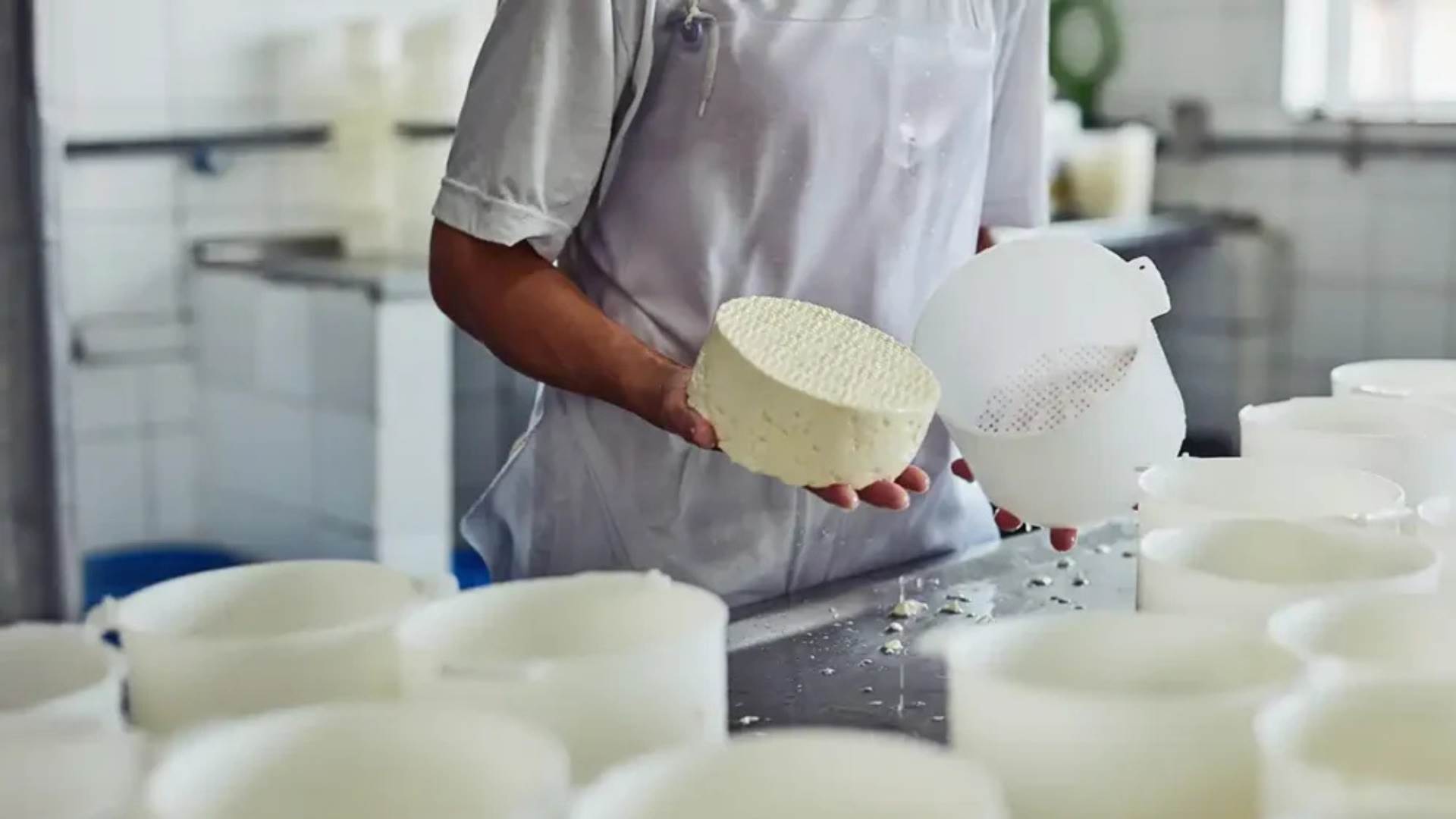 Um novo polo do queijo artesanal: a virada de chave do leite no sertão Cearense