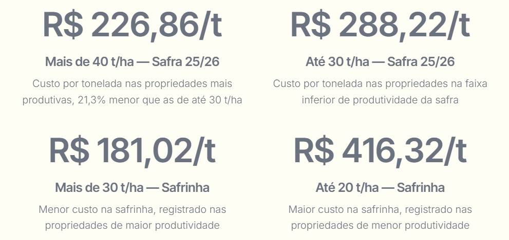 Custo por tonelada de silagem de milho: o segredo para melhores margens no leite