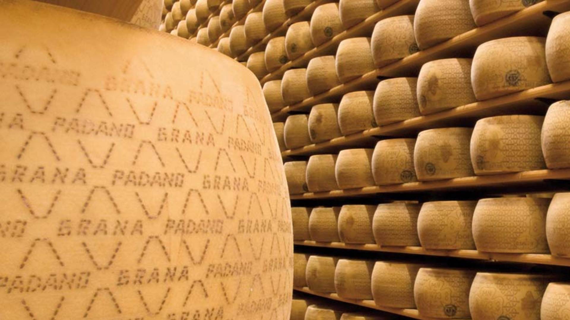 Apetite pelos queijos Parmigiano Reggiano e Grana Padano cresce e vendas avançam pelo mundo