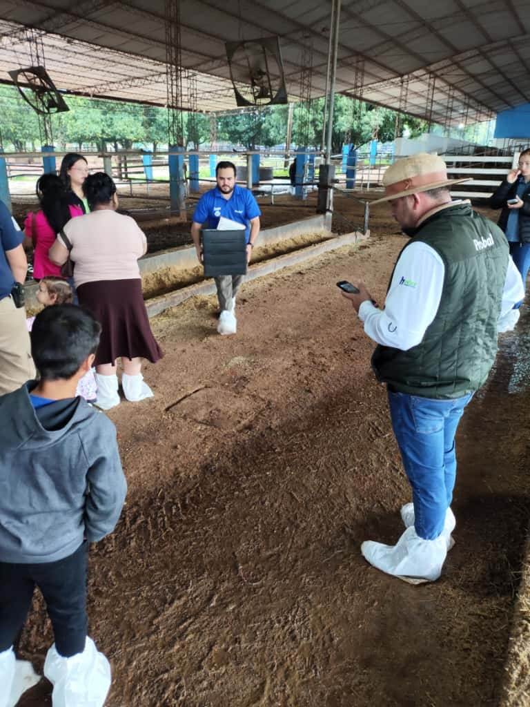 Como a Lácteos La Fortuna transformou sua cadeia de produtores com fomento e assistência