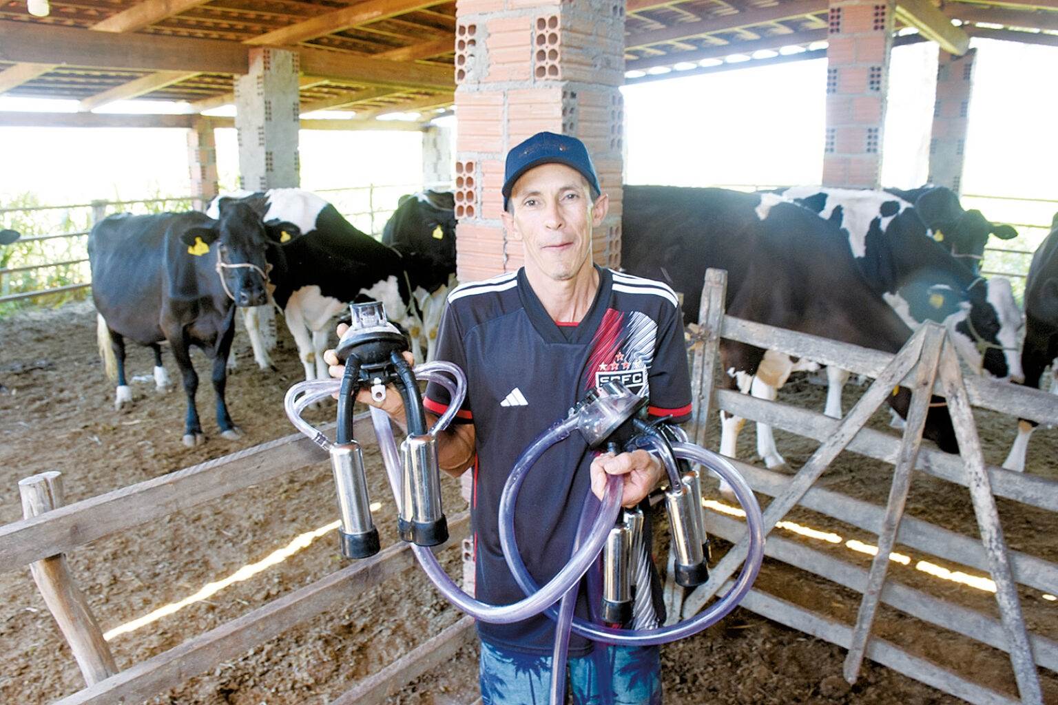 Com apoio do Sebrae, produtores do RN faturam no campo e resgatam a tradição do queijo de manteiga