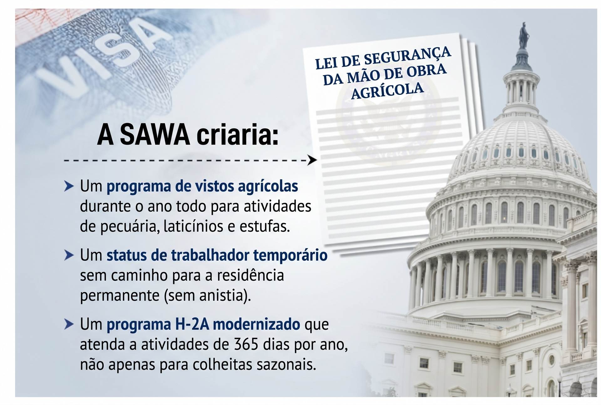 Figura 1