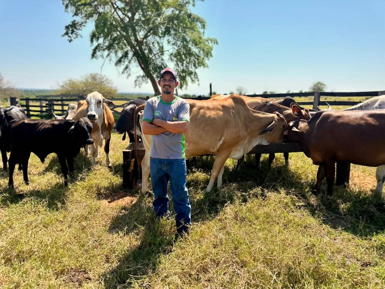 Produtor realiza sonho do avô com sucessão familiar e transforma fazenda leiteira