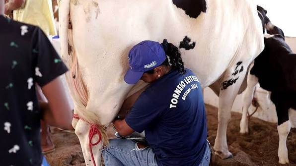 43ª Expo Bacia Leiteira, em Alagoas