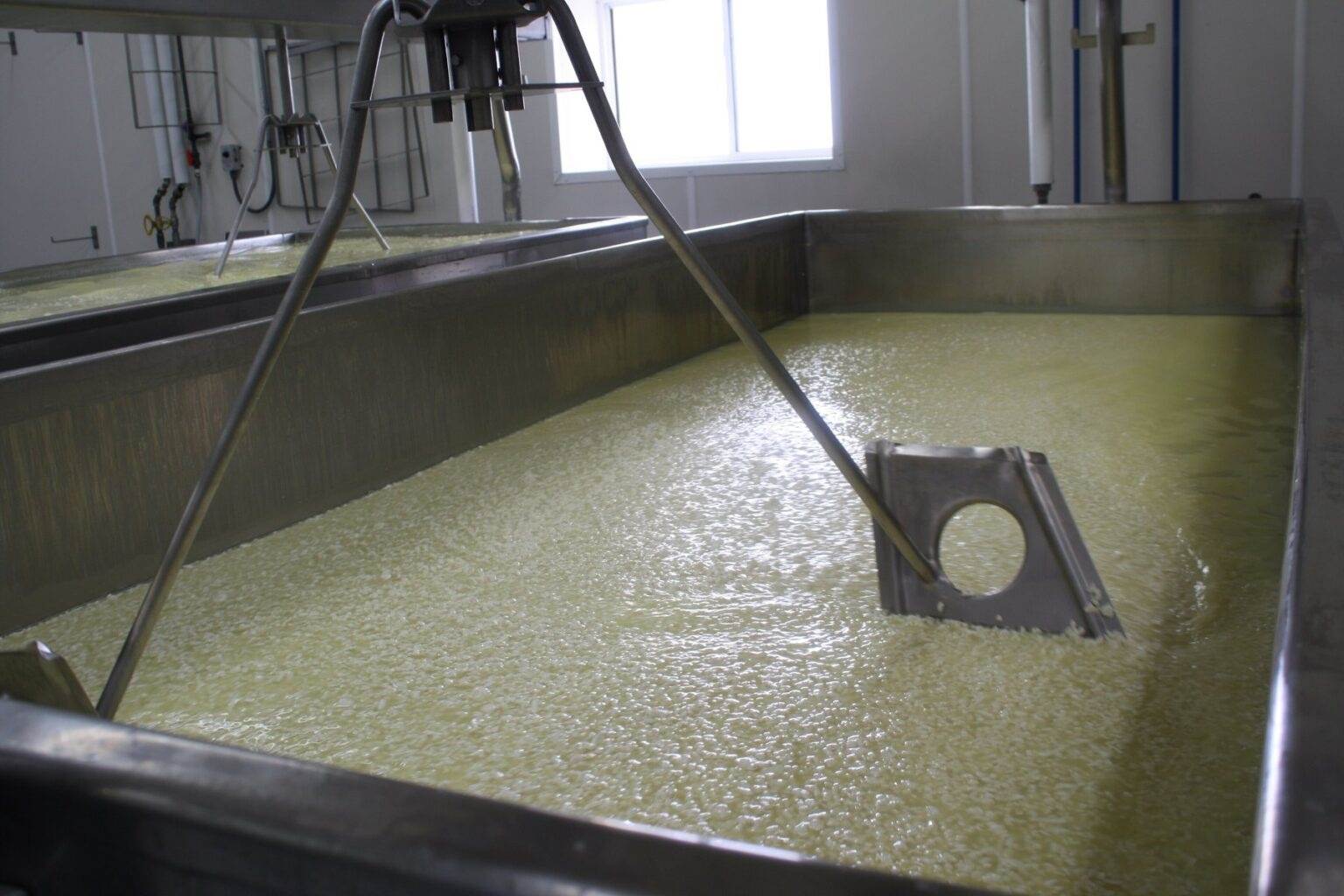 Soro salgado de queijo vira combustível em projeto universitário do Reino Unido