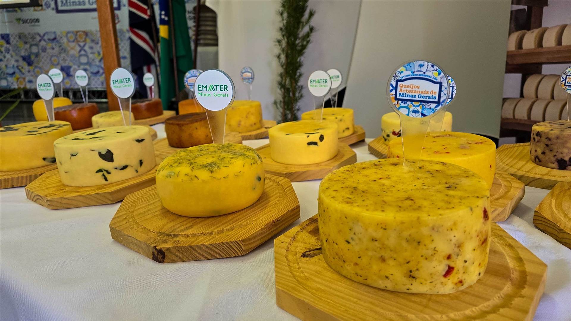queijo mineiro artesanal