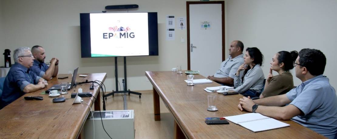 Epamig e CCPR ampliam parceria para produção de bezerras Girolando