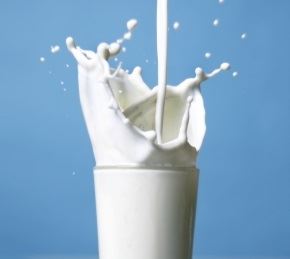intolerância à lactose - leite 