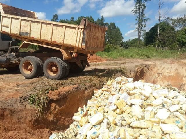 queijo-contaminado-Pará queijo-contaminado-Pará