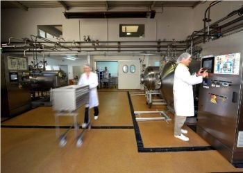 trabalho em laticínios 