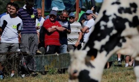 protesto de produtores de leite - Lactalis - França 