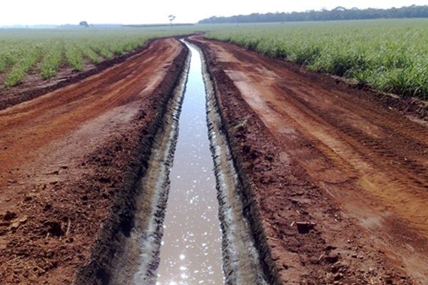 matéria orgânica - usinas - mosca-do-estábulo 