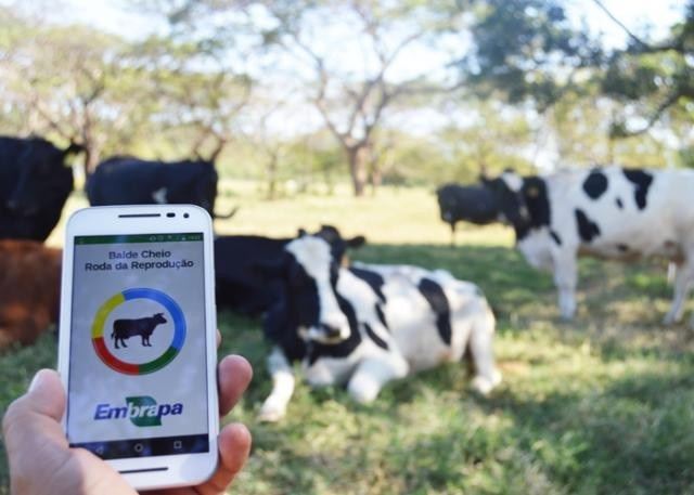 app Roda da Reprodução 