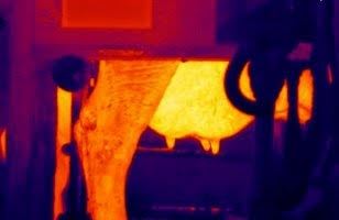 imagem térmica - Agricam - mastite 