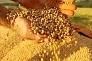 produção brasileira de grãos produção brasileira de grãos