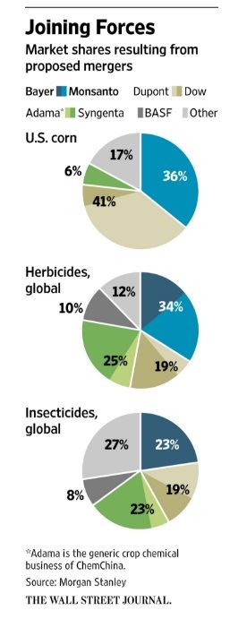 bayer aquisição Monsanto 