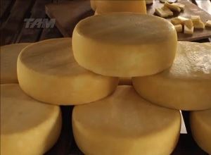 queijo artesanal - queijo Canastra 