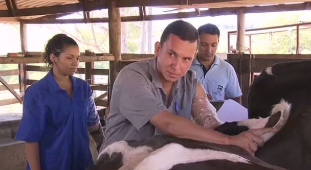alunos UFG - produção de leite - Goiás 