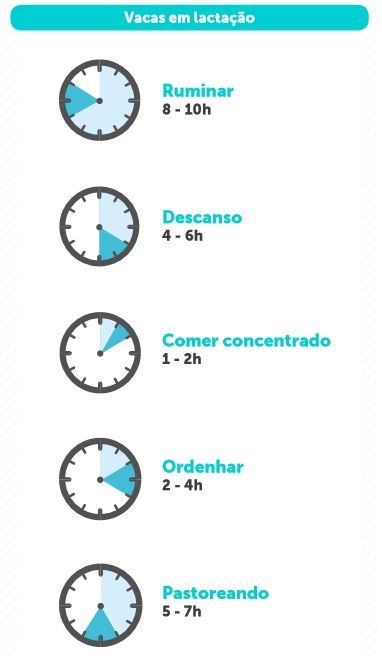 tempo para as vacas leiteiras 