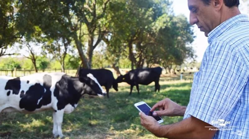 aplicativo Embrapa - reprodução 