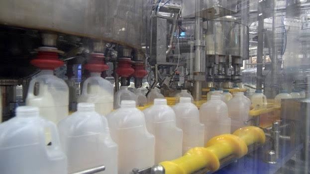 produção de leite A2 