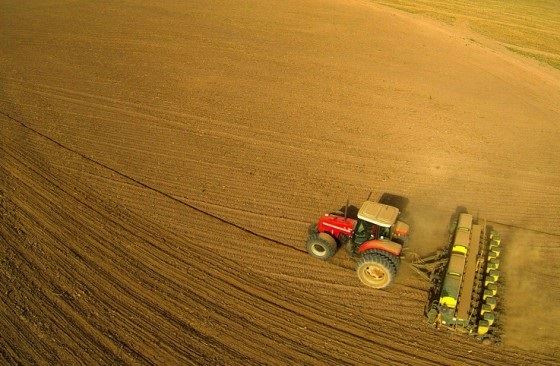 plantio de soja - Mato Grosso 