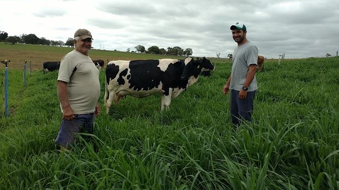 produção de leite carioca - Rio de Janeiro 