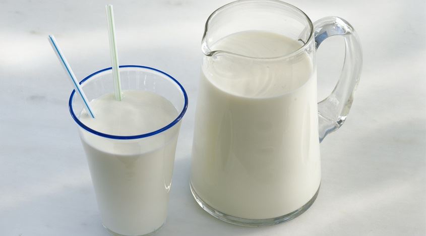 proteínas do leite - verdades 