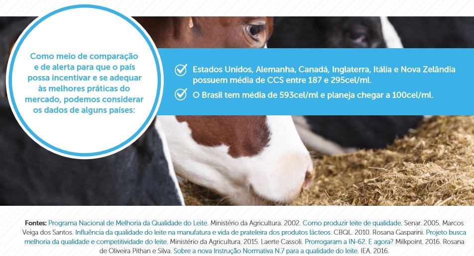 qualidade do leite 