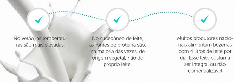 bezerras em fase de aleitamento 