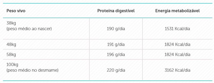 exigências nutricionais das bezerras 
