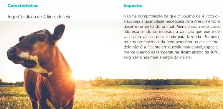ingestão de leite - bezerras 
