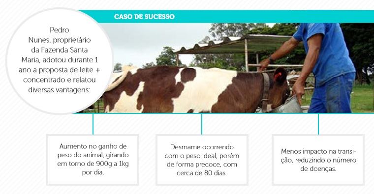 caso de sucesso - produção de leite 