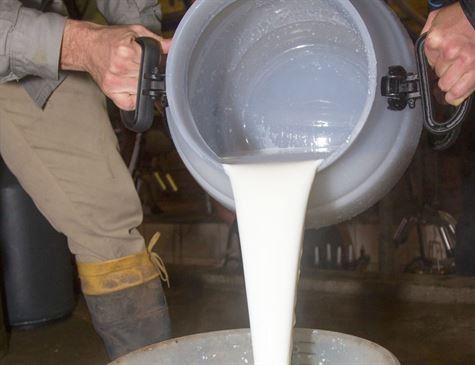 crise - leite - Pernambuco 