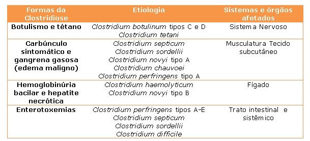 formas de clostridiose 
