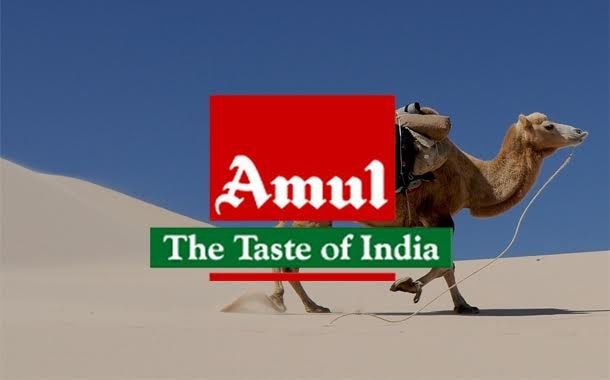 produção de leite de camela - Amul 