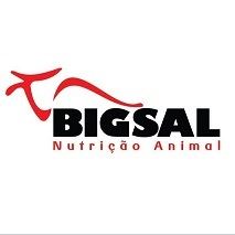 bigsal 