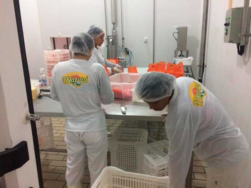 Matupi Fabricação de Laticínios Ltda