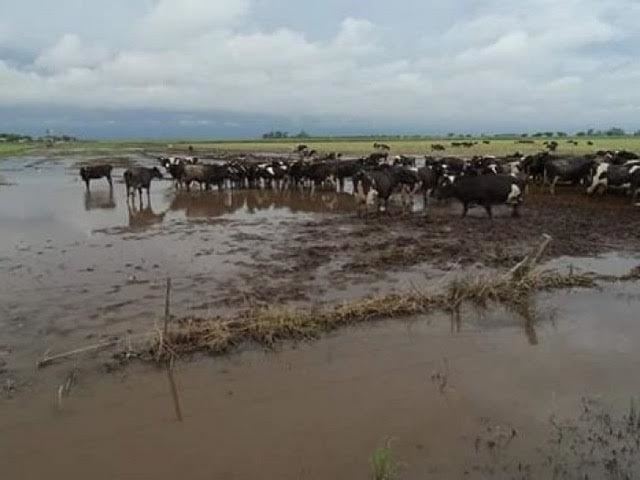 argentina - santa fé - chuvas 