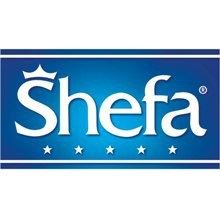 Shefa - recuperação judicial 