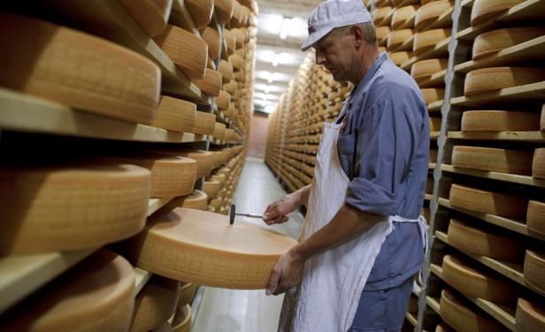 produção queijos - Uruguai 