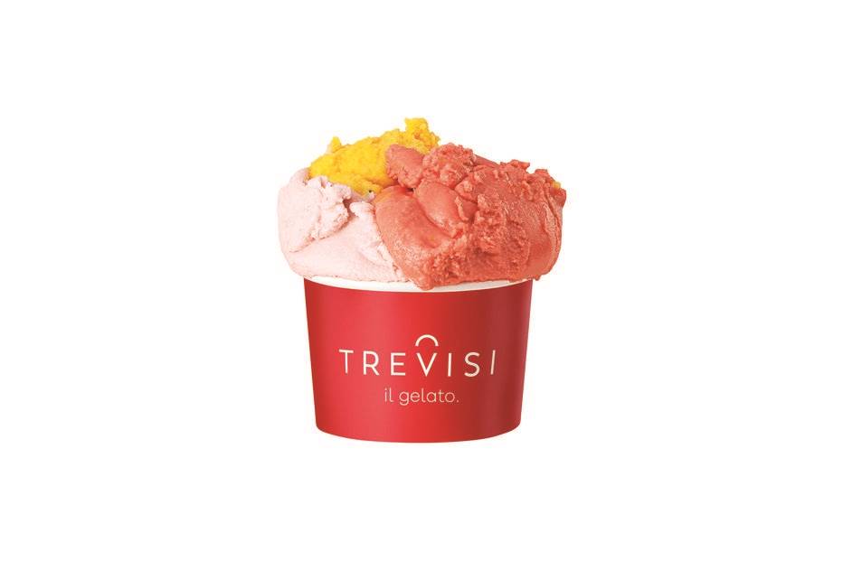 TREVISI