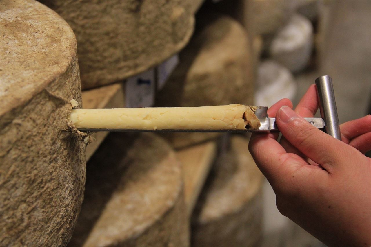 Jasper Hill Farm - casca dos queijos 