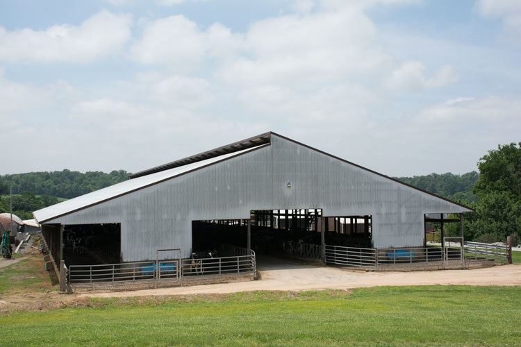 fechamento de fazendas leiteiras no EUA 