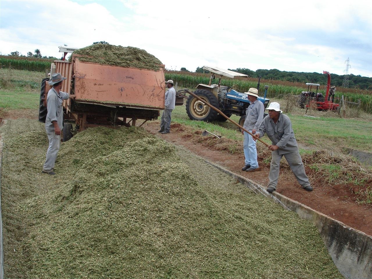 estiagem - norte de minas - seca - emater 