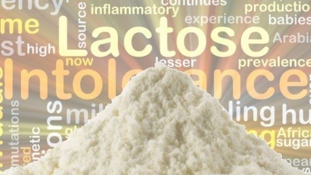  NZMP Low Lactose Instant Whole Milk Powder