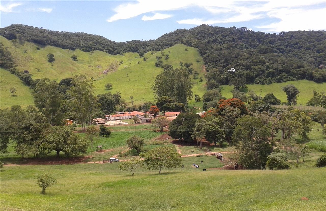 fazenda palmital - produção de leite 