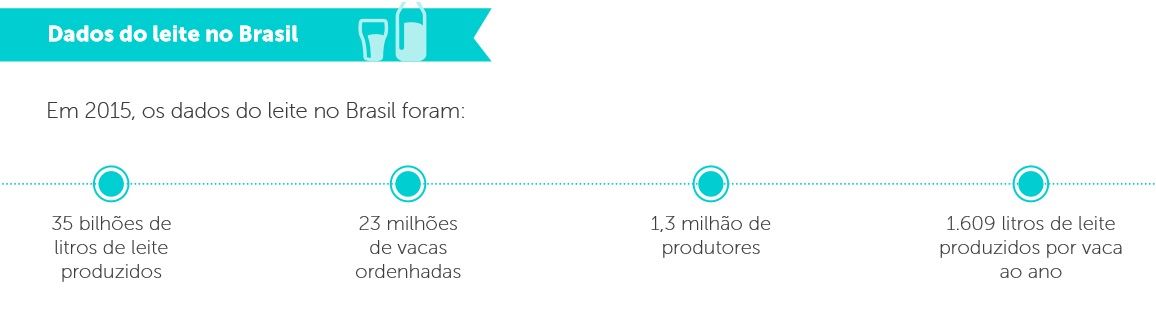 produção de leite no Brasil 