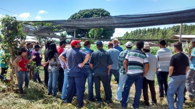 Dinapec 2017 - produtores de leite 