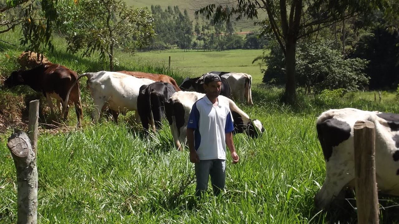 produção de leite - minas gerais - Emater 